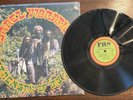 Israel Vibration ‘Strength Of My Life’ LP (RAS Records) Die Cut EX