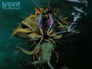 WEEN - The Mollusk  *GREEN VINYL *(Plain Records) LP rare