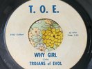 Ripping Garage Punk Fuzz 45 Trojans of Evol Why Girl / Through the Night HEAR