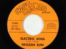 Psych Funk Fuzz 45 - Frozen Sun - Electric Soul - Capt. Zoomar VG++