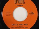 Ambassadors Of Soul 