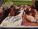 Pet Sounds vinyl by the Beach Boys