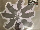 GHOST - RATS  7