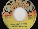 Chicago Gangsters 