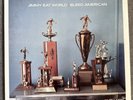 Jimmy Eat World Bleed American deluxe 3 LP coloured vinyl limited 2011 release