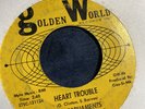 Rare The Parliaments - Heart Trouble / That Was My Girl Northern Soul 45