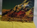WALL OF VOODOO 1981 Dark Continent  Vinyl  LP 1981 IRS Records Grey Center Lable