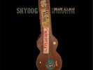 Duane Allman - Skydog: The Duane Allman Retrospective 14LP Numbered VINYL LP