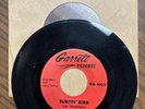The Trashmen - Surfin' Bird - Garrett 4002, Surf/Garage Rock 45RPM 1963
