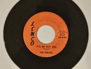 RARE GARAGE ROCK The Torques It's Me Not You/Show Me 45 RPM 7