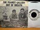 RARE 60's  GARAGE PROMO 45/ THE PEANUT GALLERY 