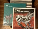 Hum  – You'd Prefer An Astronaut UK LP,  Limited Edition 1996