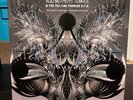 Dark Side of the Black Moon: What Planet Are We On  by Acid Mothers Temple 2xLP