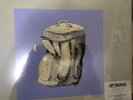 Cat Stevens - Mona Bone Jakon (Super Deluxe Edition) 4CD+Bluray+LP+12