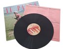 Au Pairs Playing With a Different Sex  1st Press  1981 Human   Punk Vinyl LP