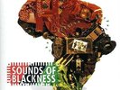 Sounds Of Blackness - The Evolution Of Gospel (LP) (Very Good Plus (VG+)) - 3818