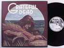 GRATEFUL DEAD Wake Of The Flood GRATEFUL DEAD LP VG++/VG+ matte cover n