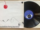 The Incredible Cherry Tree Band LP UK 1976 Look private press UK jazz rock