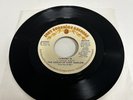THE VOICES OF EAST HARLEM - Cashing In / Having You 45   1973 RARE
