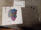 Love Forever Changes True Mono Electric Recording Co. audiophile