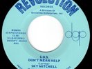 OBSCURE MIAMI PRIVATE PRESS LATIN DISCO & ROCK 45 - SKY MITCHELL S.O.S. - HEAR
