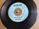 TEXAS GARAGE 45 - THE ROGUES - Tell Me No Lies / Take Out Last Walk (KAPAN) HEAR