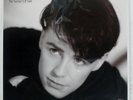 The Lotus Eaters NO SENSE OF SIN ARISTA 25RS214 Japan INSERT VINYL LP