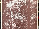 clean 1972 David W Peters “Hey There, Anyone” LP • private psych folk • Whiplash