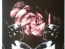 Death In June - Rose Clouds Of Holocaust (LP) (Mint (M)) - 3825111509