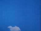John Lennon Plastic Ono Band Live Peace In Toronto 1969 + Calendar RARE SEALED