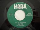 RARE  Rockabilly 45 - Terry Daly 