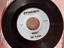 The Plague Go Away/Money 1966 Epidemic 45 EX Albuquerque Garage Band 60s punk