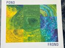 Pond Frond lp Easy VG+/EX Tame Impala