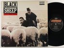 Black Sheep 
