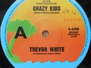 Trevor White Rare OZ 45 Crazy kids VG+ 76 Island K6508 Punk Powerpop Hook Sparks