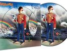 Marillion MISPLACED CHILDHOOD Remastered NEW LIMITED VINYL PICTURE DISC LP
