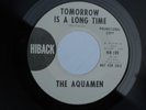 S HIBACK 109 GARAGE ROCK SOUL THE AQUAMEN TOMORROW IS A LONG TIME LINE AND TRACK