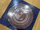 PINKPANTHERESS Fancy That Zoetrope Picture Disc LP Blood Records Hand Numbered