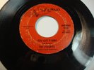 Northern Soul 45 the Volumes “You Got It Baby” Hear
