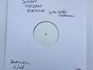 SIGNED The Divine Comedy Rainy Sunday Afternoon Numbered Test Pressing IN HAND