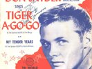 DON SNYDER--TEEN PICTURE SLEEVE  + 45--(TIGER A-GO-GO)--PS--PIC--SLV
