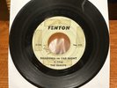 RARE Garage Rock 45 Record THE QUESTS What Can I Do/Shadows In The Night VG