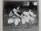 VIRGIN PRUNES TWENTY TENS ROUGH TRADE RT13 Japan VINYL 7