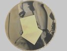 Madonna, Picture Disc, From the Sex photo book, UNIQUE