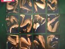 Catherine Wheel Adam And Eve NUMBERED Chrysalis Records 2xVinyl LP