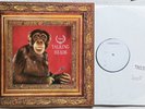 Talking Heads ‎– Naked -  RARE French LP  Test Pressing / White Label