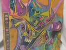 Blind Idiot God Vinyl SST Records 1987 Cesstone Music