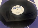 The Ethiopians / Bobby Ellis - The Whip / Cool It Omego / Shank I Sheck (12