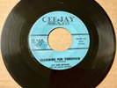 Jay Dee Bryant Magic Knights DOO WOP 45 Searching For Tomorrow CEE-JAY VG++ HEAR