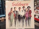 Saltburn - Original Soundtrack | Liquid  Filled Vinyl NM/NM